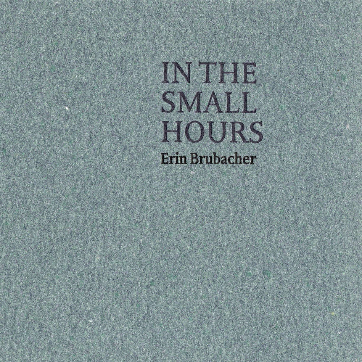 Erin Brubacher book of poems "In The Small Hours" available at Easy Tiger Toronto