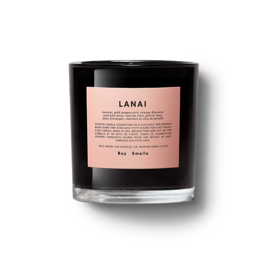 Boy Smells Candle – LANAI