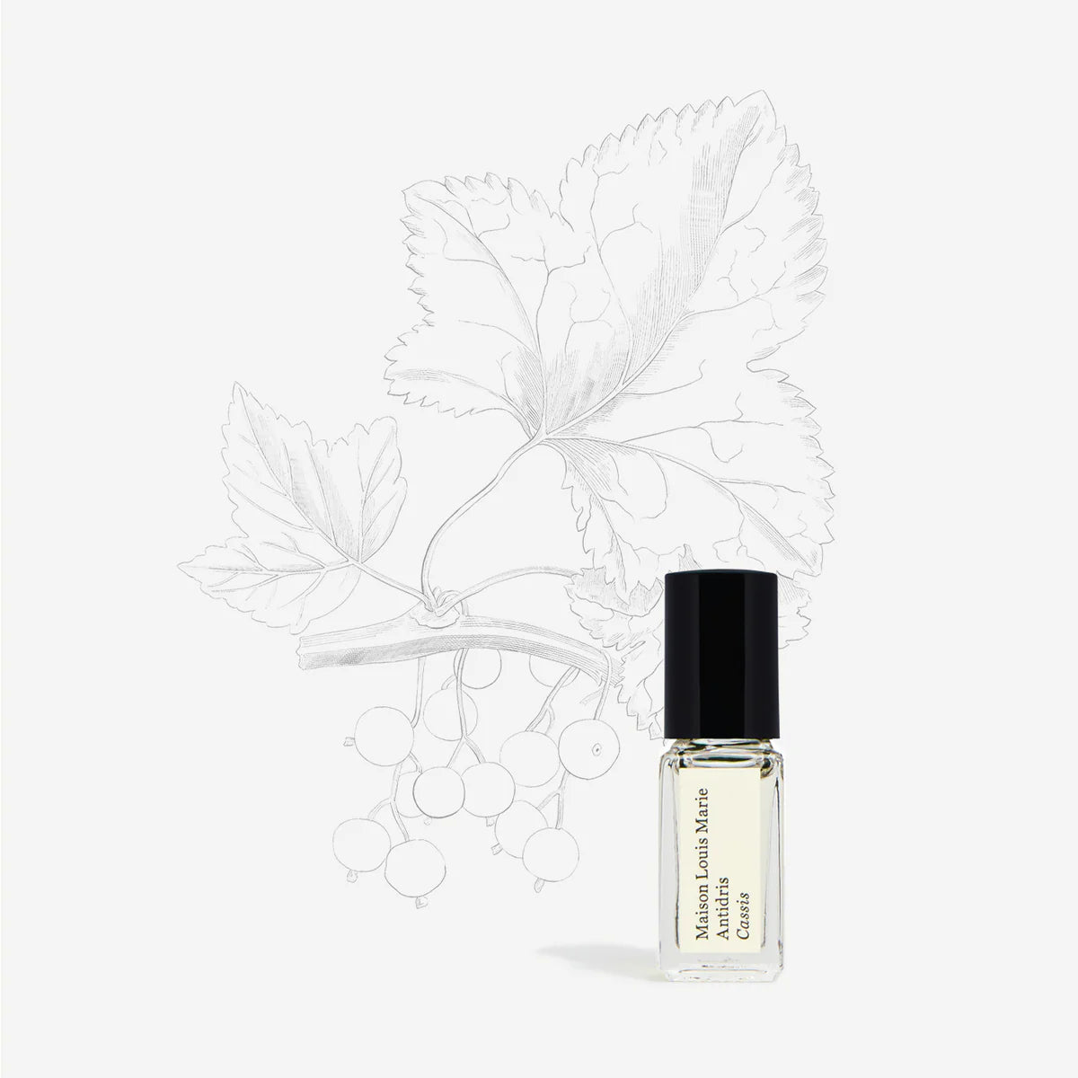 Antidris/ Cassis 3ml Perfume Oil Roller