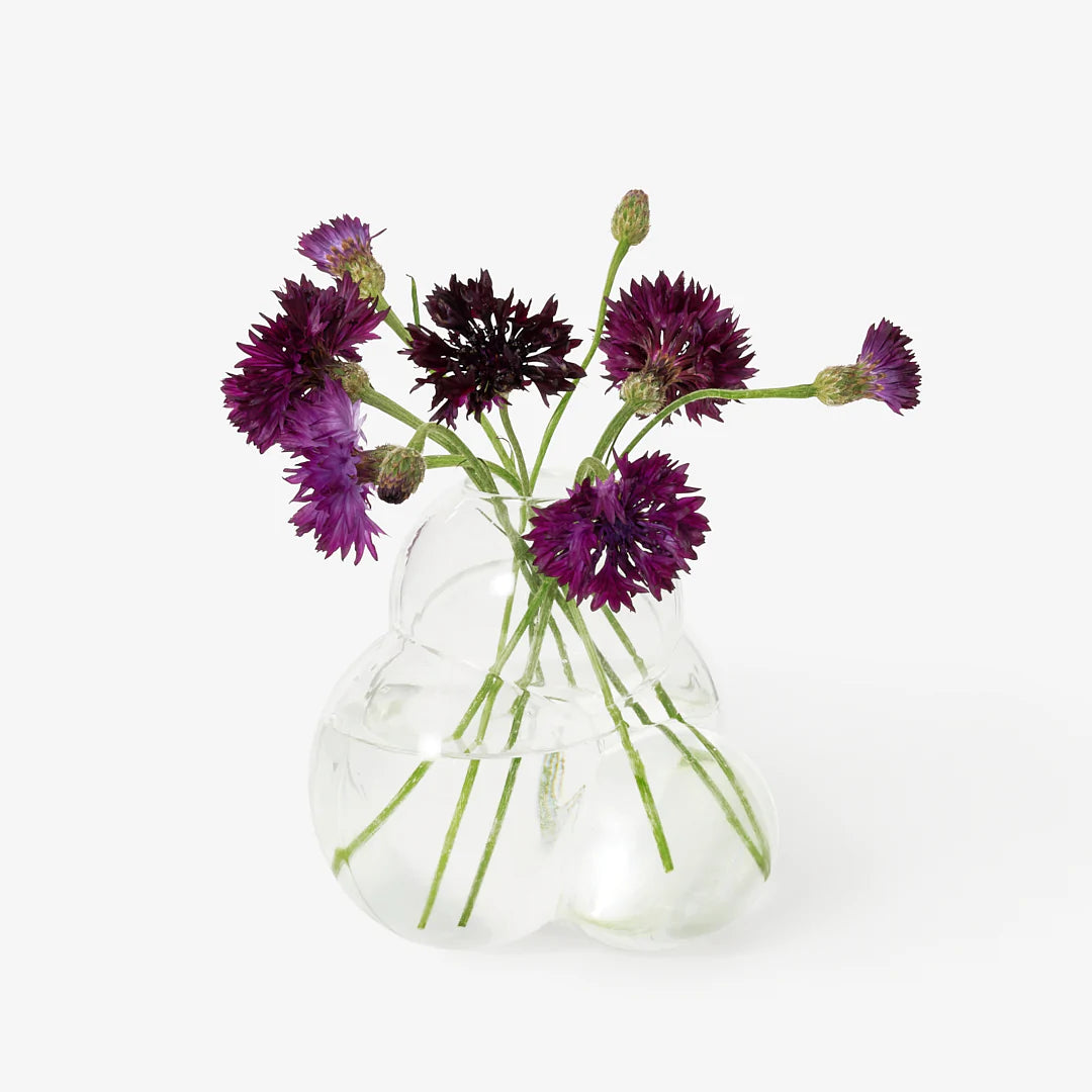 TALBOT AND YOON AREAWARE GLASS BUB BUD VASE BUBBLE SHAPED CLEAR
