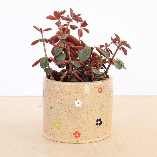Ditsy Floral Planter